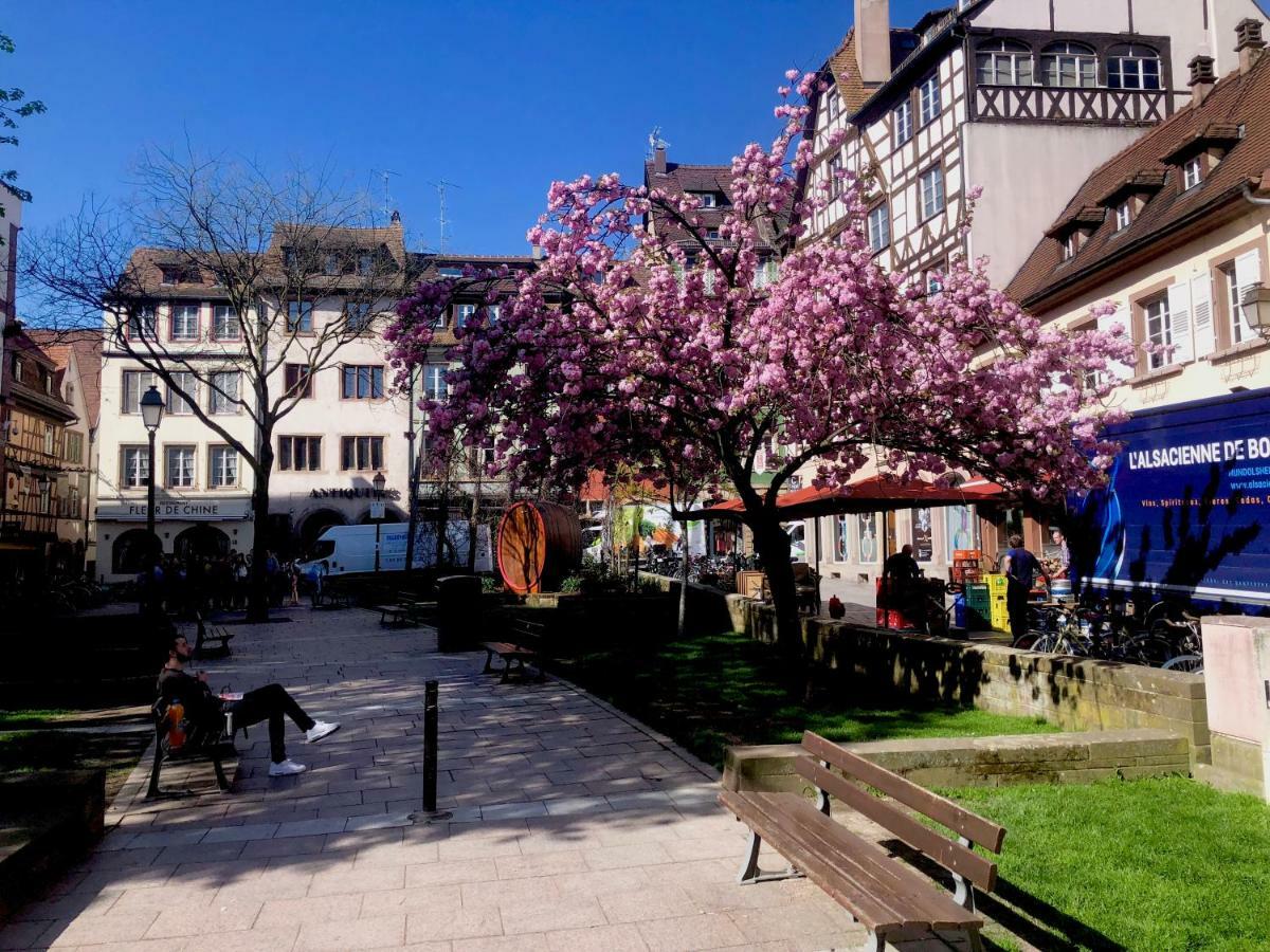 Le Moment Bleu Apartment Strasbourg Exterior foto